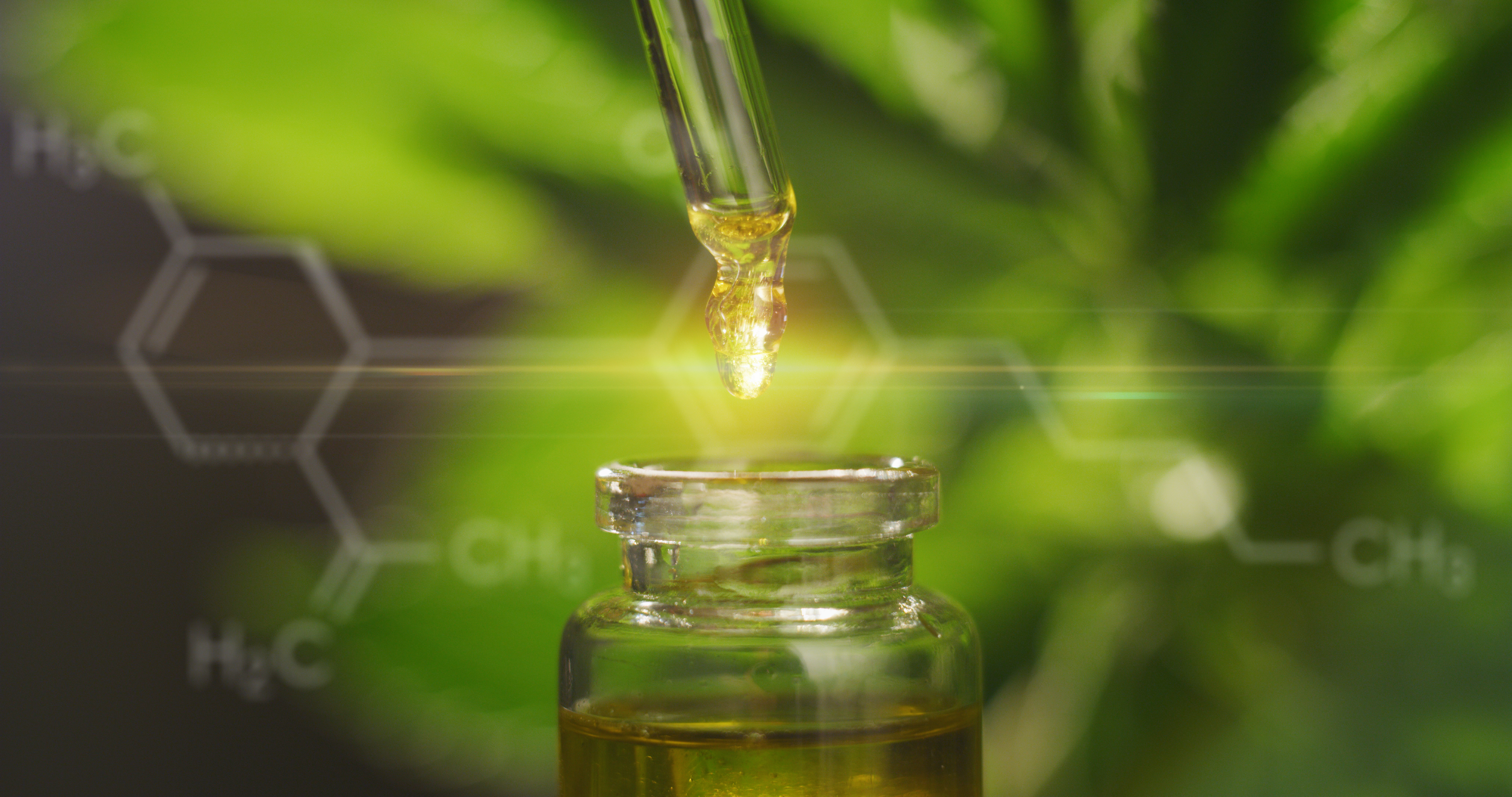 Macro close up of droplet dosing a biological and ecological hemp plant herbal pharmaceutical cbd oil from a jar.