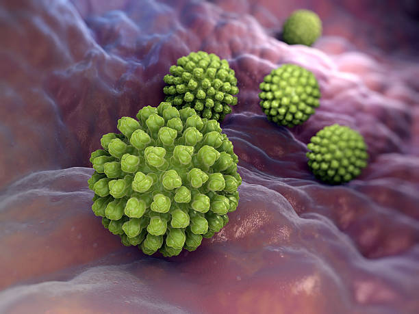 Rotavirus
