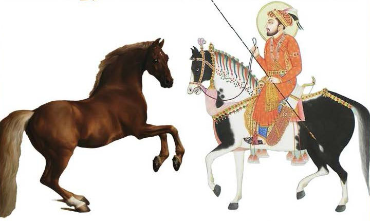 Art showing two horses with a man on one